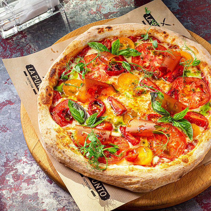 CY-12 Portable Charcoal Pizza Oven